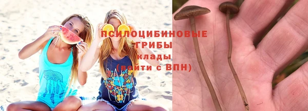 ALPHA PVP Богородицк