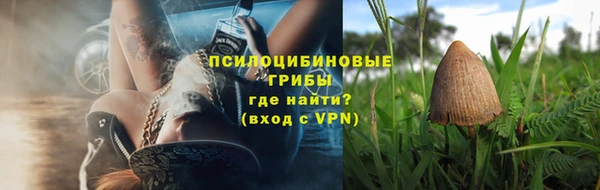 шишки Бородино