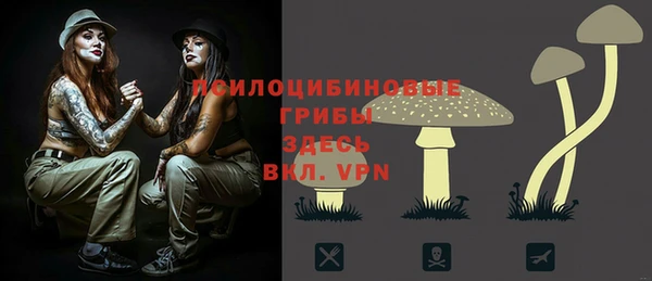 марки lsd Богданович