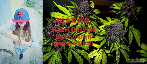 шишки Бородино