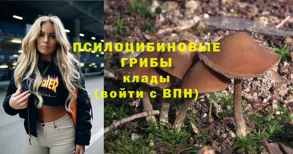 таблы Богородск