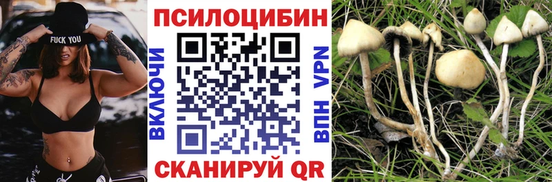 Псилоцибиновые грибы Magic Shrooms  Верхний Тагил 