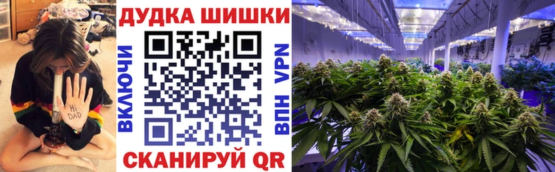 Шишки марихуана план  где купить   Верхний Тагил 